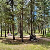 Review photo of Stockade Lake S - Custer State Park by Shana D., July 28, 2021