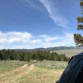 Review photo of Dispersed Camping in Routt National Forest by Isabelle K., June 16, 2018