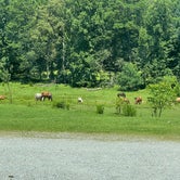 Review photo of Oak Mountain State Park Campground by Joyce T., July 28, 2021