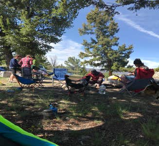 Camper-submitted photo from Dispersed Camping in Routt National Forest 