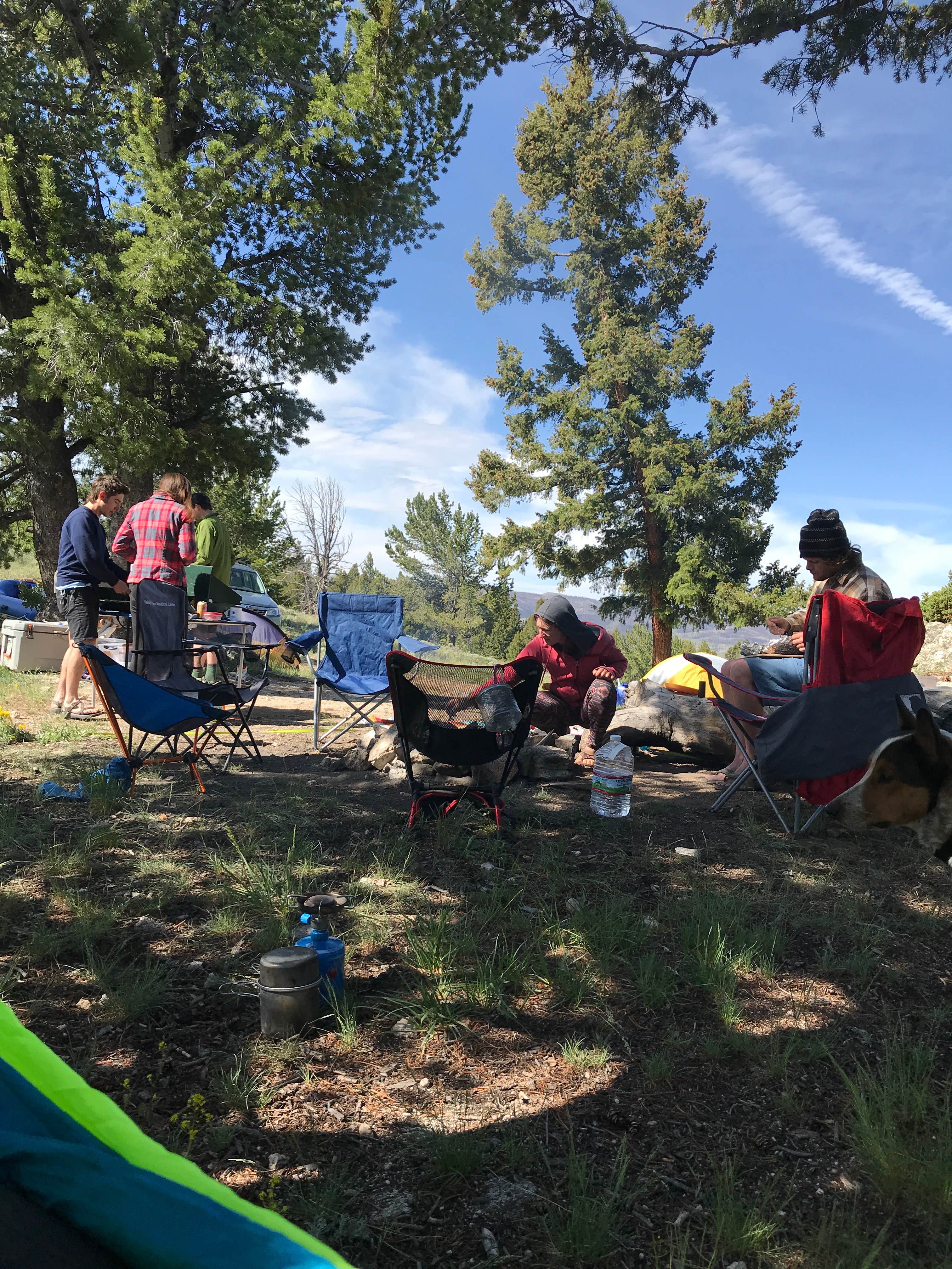 Camper submitted image from Dispersed Camping in Routt National Forest - 2