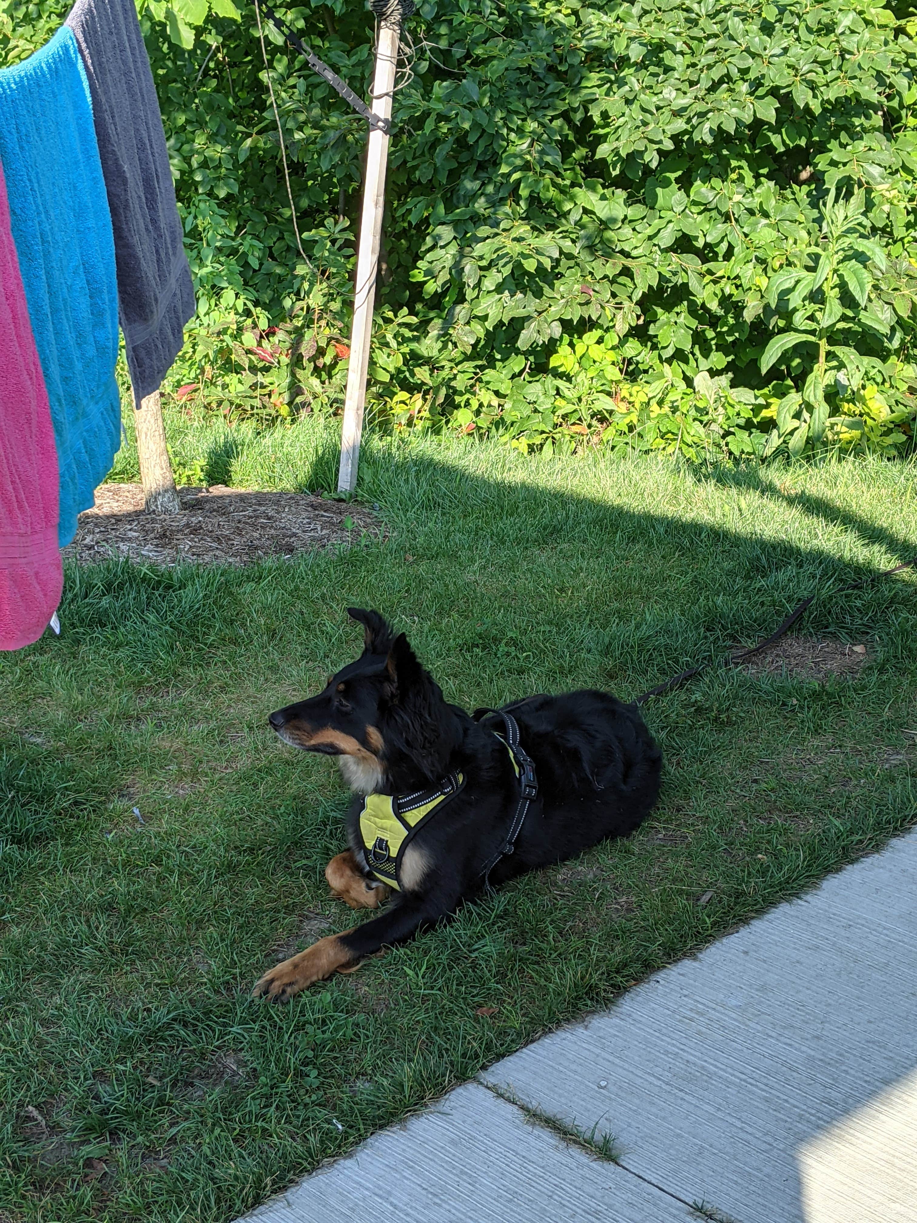 Camper-submitted photo at Atwood Lake Park Muskingum Watershed Conservancy Dist near Carrollton, OH