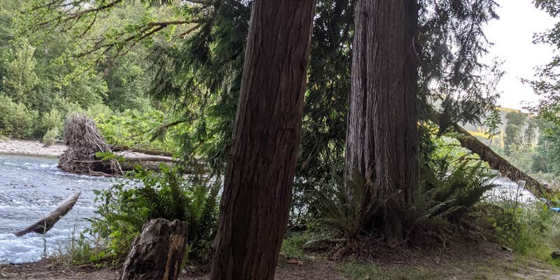 Camper submitted image from Cascade Wagon Road Campground