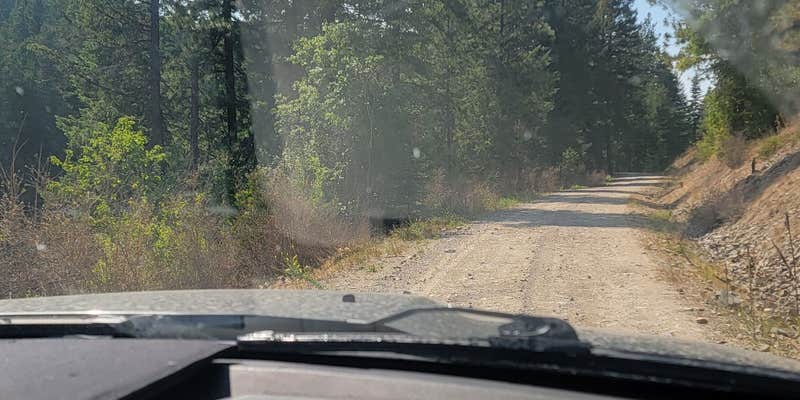 Camper submitted image from Cooks Lake