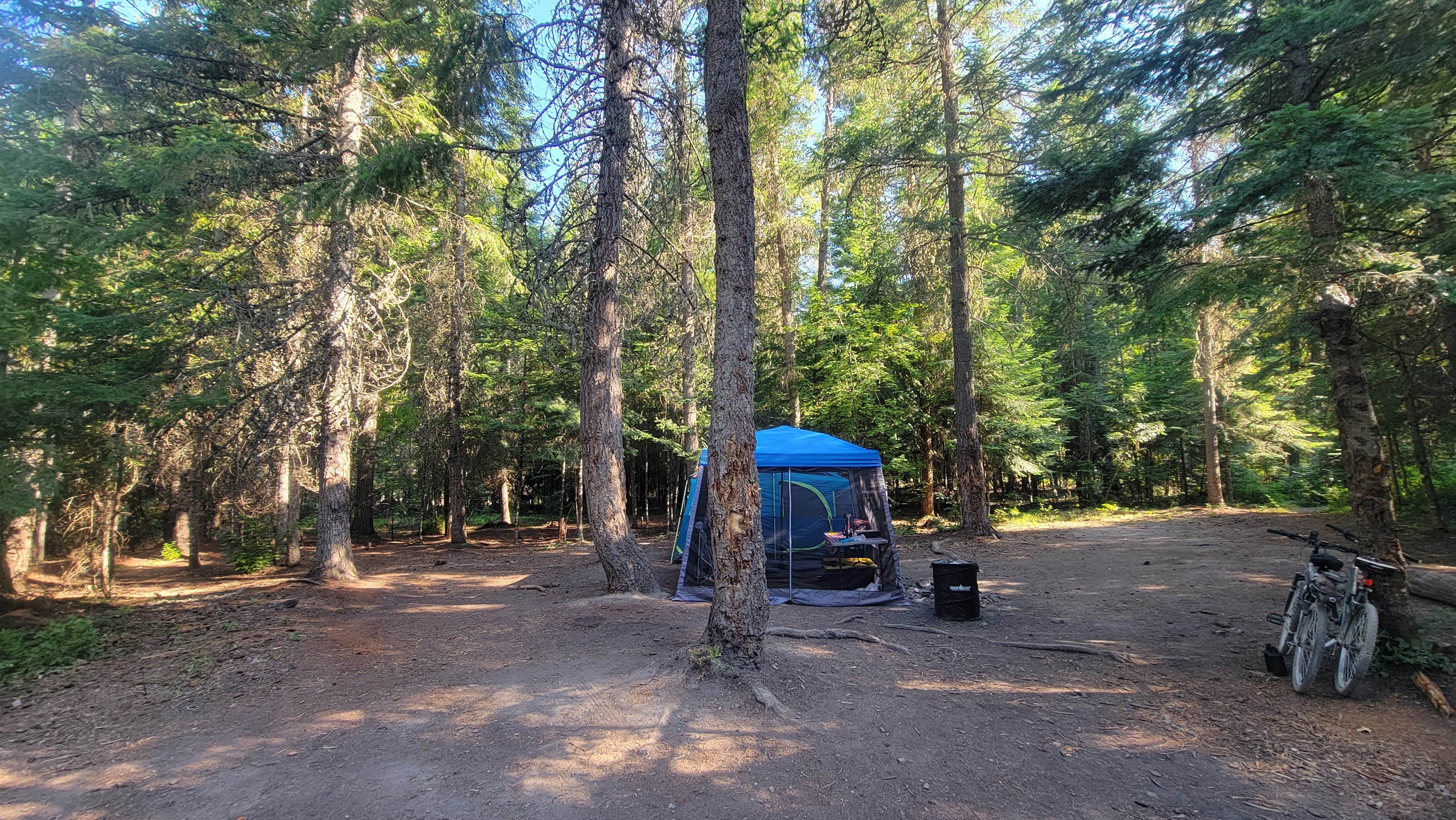 Jennifer R.'s photo of a dispersed camping area at Cooks Lake near Kootenai, ID