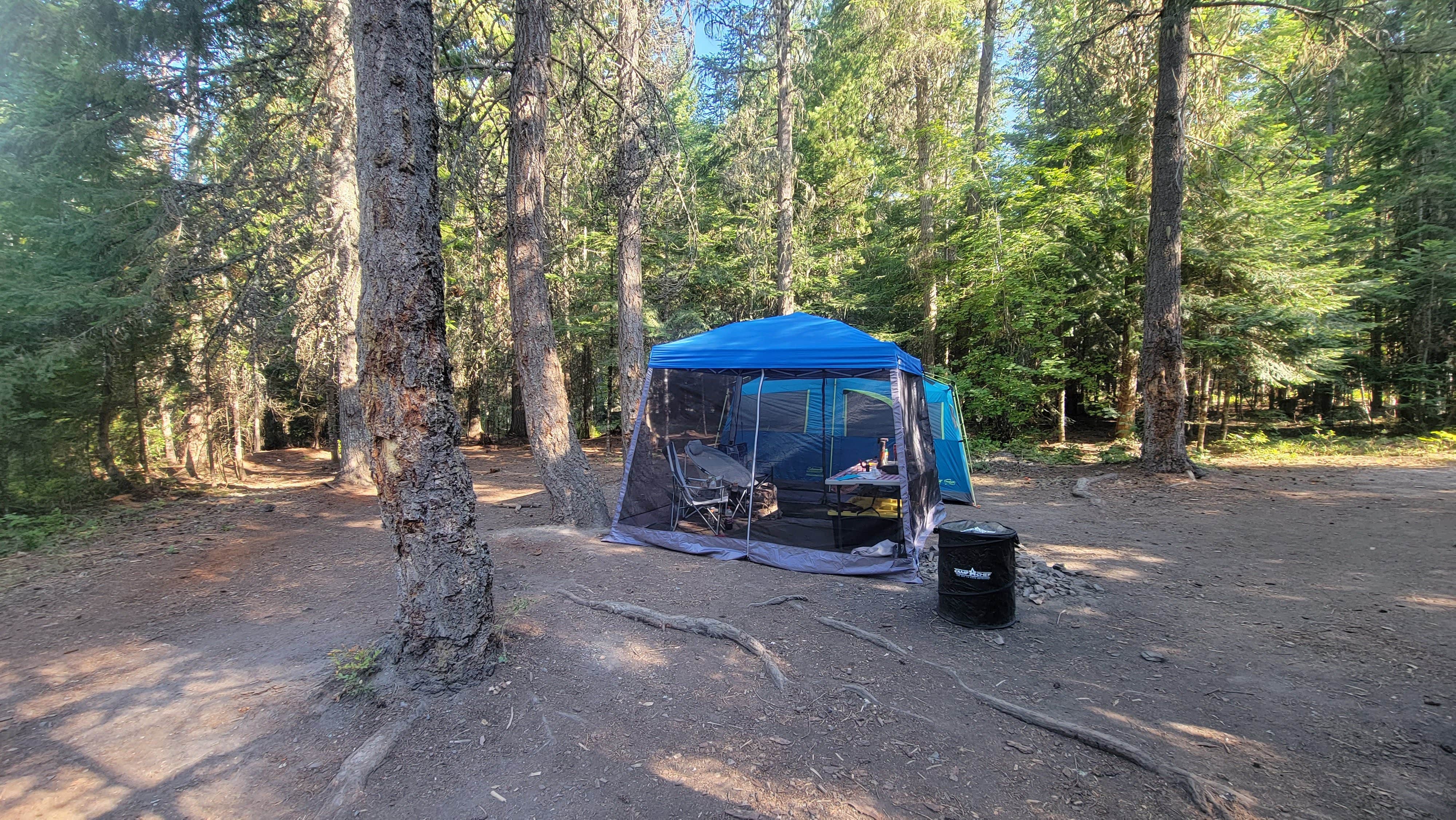 Jennifer R.'s photo of a dispersed camping area at Cooks Lake near Kootenai, ID