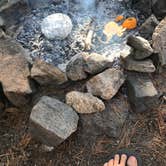 Review photo of Dispersed Camping in Routt National Forest by Isabelle K., June 16, 2018