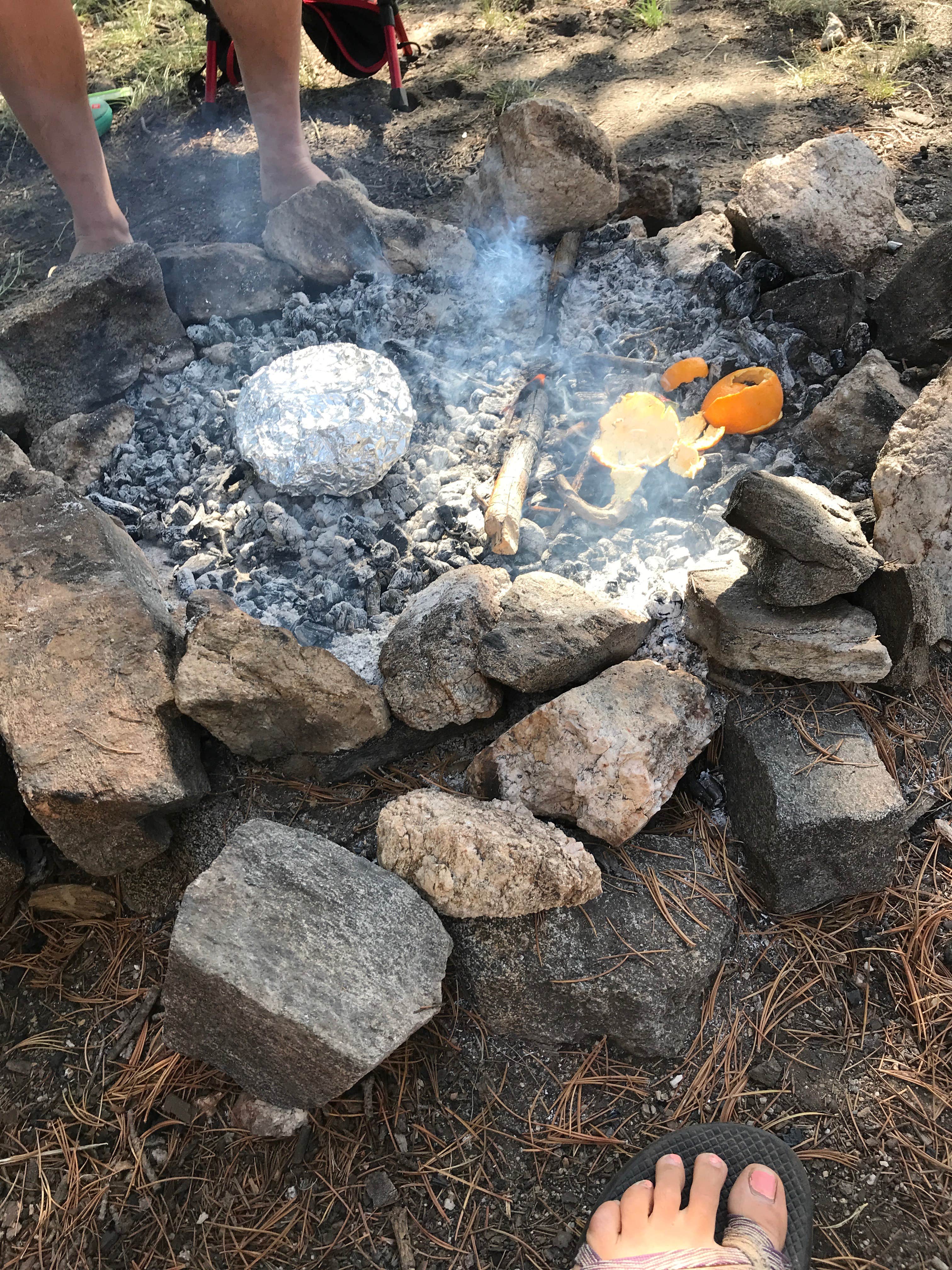 Camper submitted image from Dispersed Camping in Routt National Forest - 4