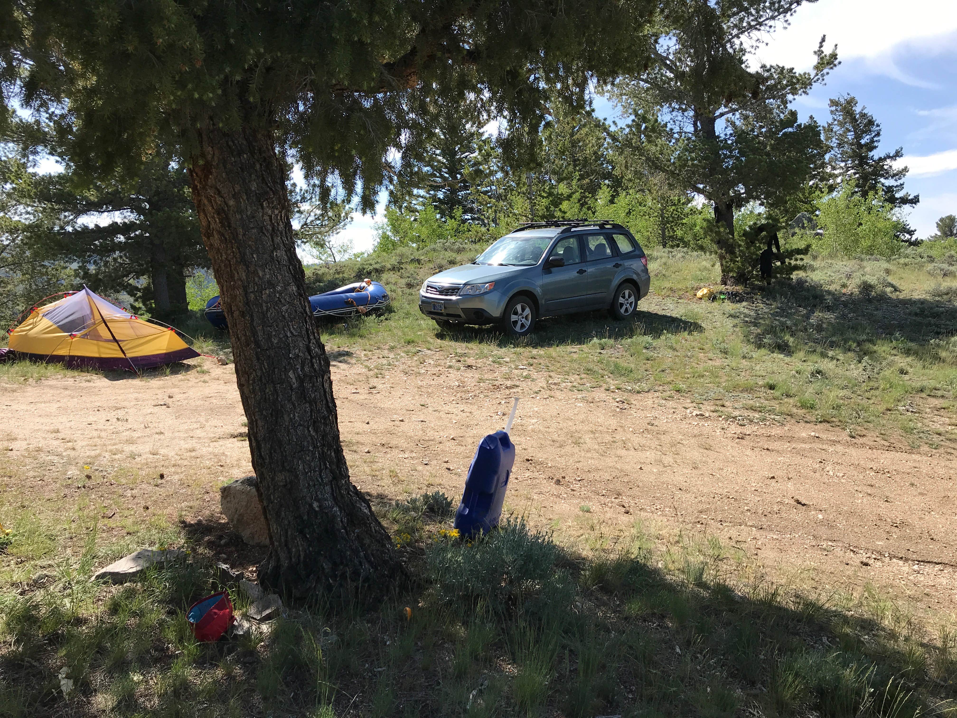 Camper-submitted photo at Dispersed Camping in Routt National Forest near Medicine Bow-Routt National Forests and Thunder Basin National Grassland