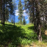 Review photo of Johnny Creek Campground by Estibaliz V., July 28, 2021