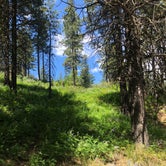 Review photo of Johnny Creek Campground by Estibaliz V., July 28, 2021