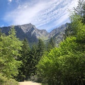 Review photo of Johnny Creek Campground by Estibaliz V., July 28, 2021