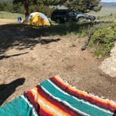 Review photo of Dispersed Camping in Routt National Forest by Isabelle K., June 16, 2018