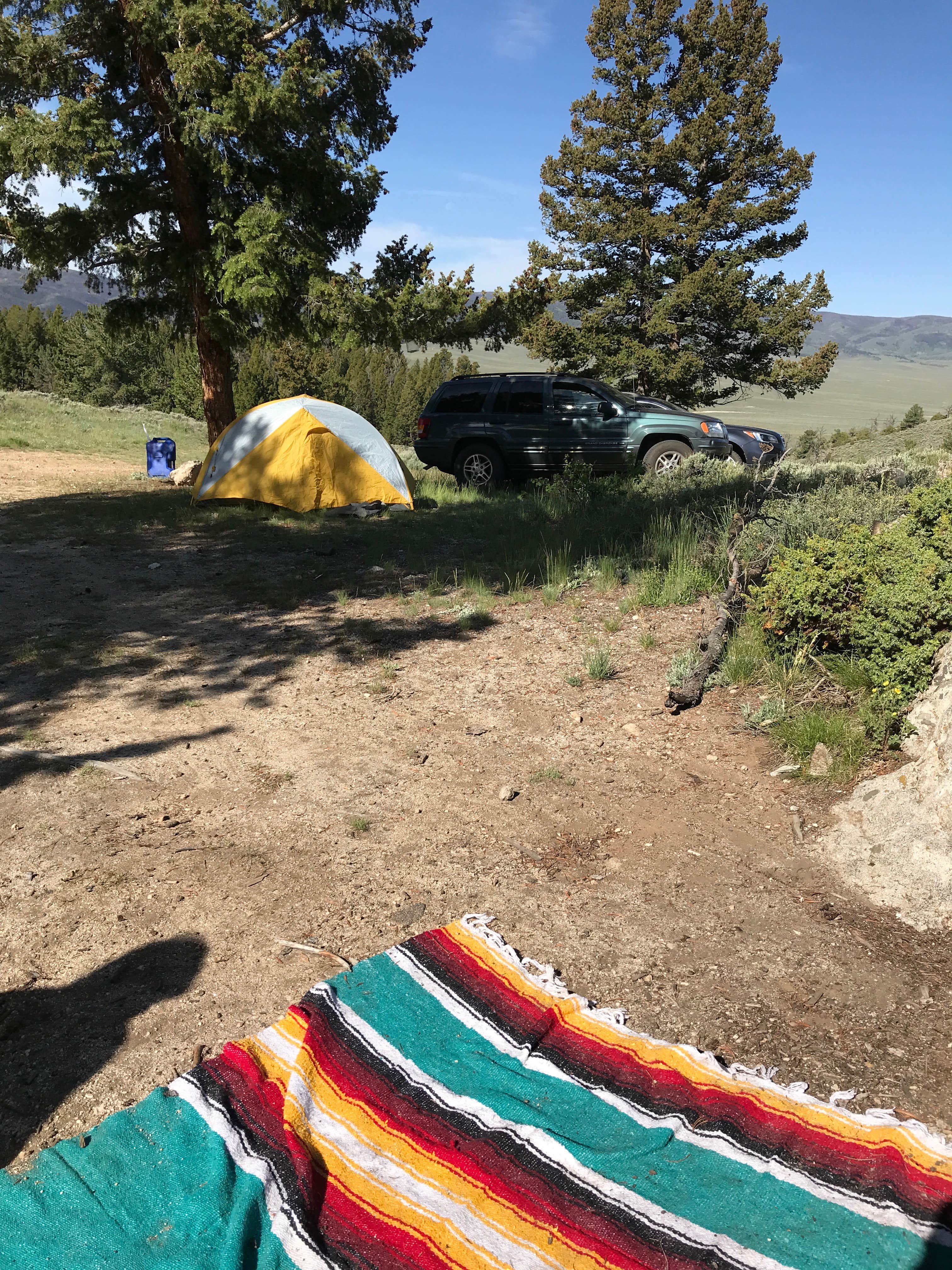 Camper submitted image from Dispersed Camping in Routt National Forest - 2