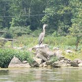 Review photo of Rocky Fork State Park Campground by Tonya W., July 28, 2021