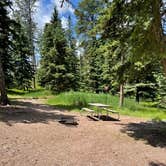 Review photo of Sylvan Lake Campground — Custer State Park by Shana D., July 28, 2021