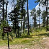 Review photo of Sylvan Lake Campground — Custer State Park by Shana D., July 28, 2021