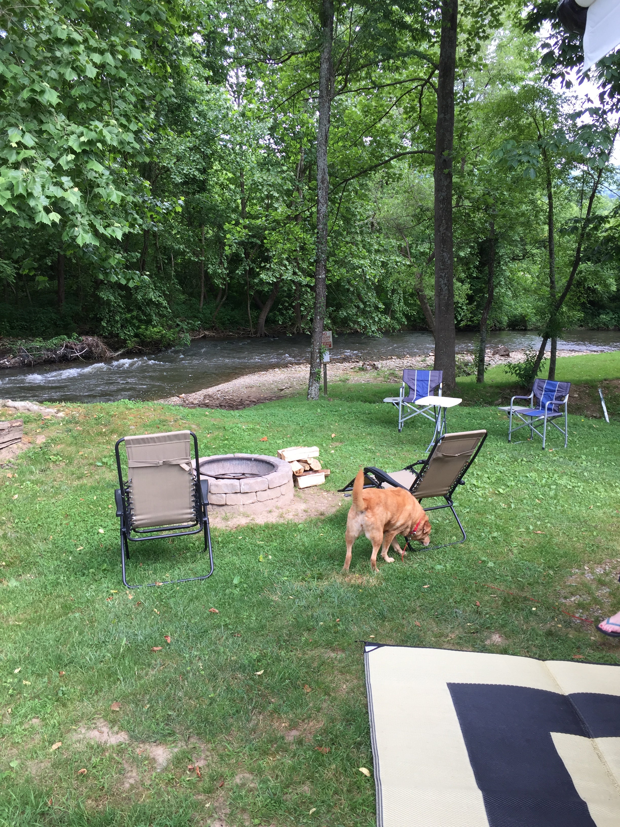 Camper submitted image from Creekwood Farm RV Park - 2