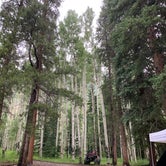 Review photo of North Cottonwood Trailhead Dispersed Camping by heather , July 28, 2021