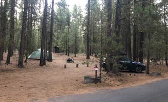 Jeane L.'s photo at Gull Point Campground near Gilchrist, OR