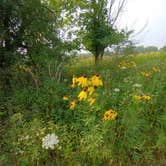 Review photo of Sunrise Campground — Richard Bong State Recreation Area by Emily M., July 28, 2021