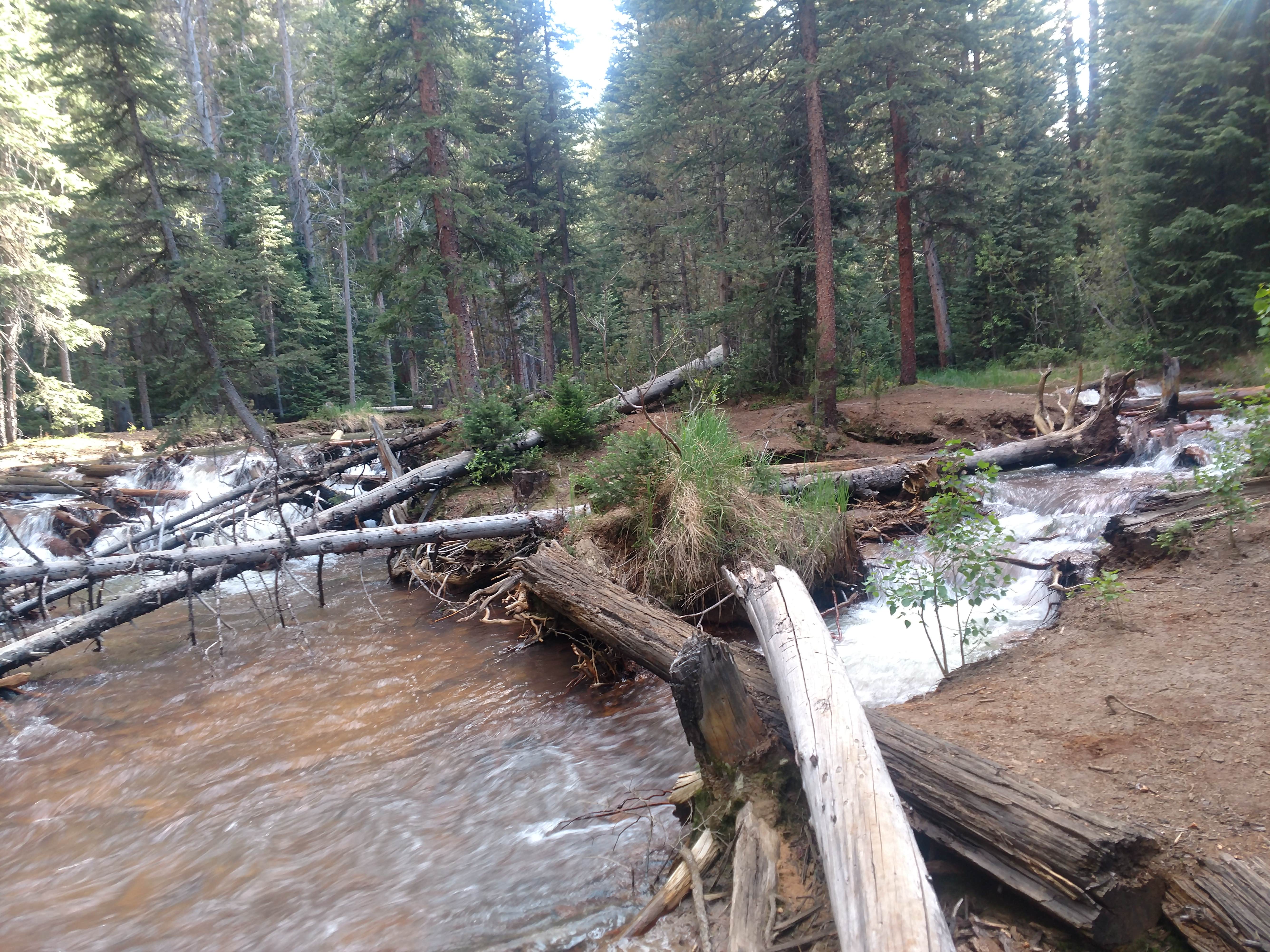 Camper-submitted photo at Handcart Campground near Jefferson, CO
