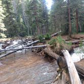 Review photo of Handcart Campground by Shaun H., June 16, 2018