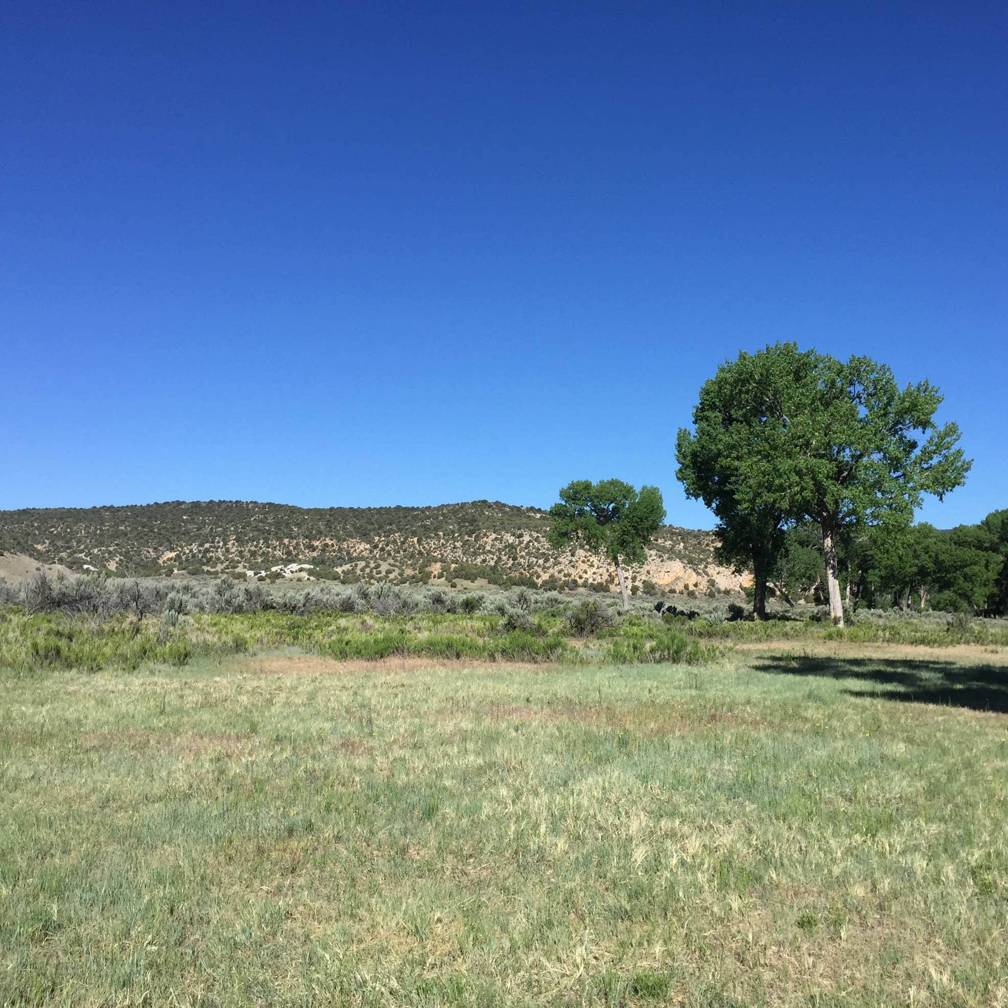 Deerlodge Park Campground Camping The Dyrt