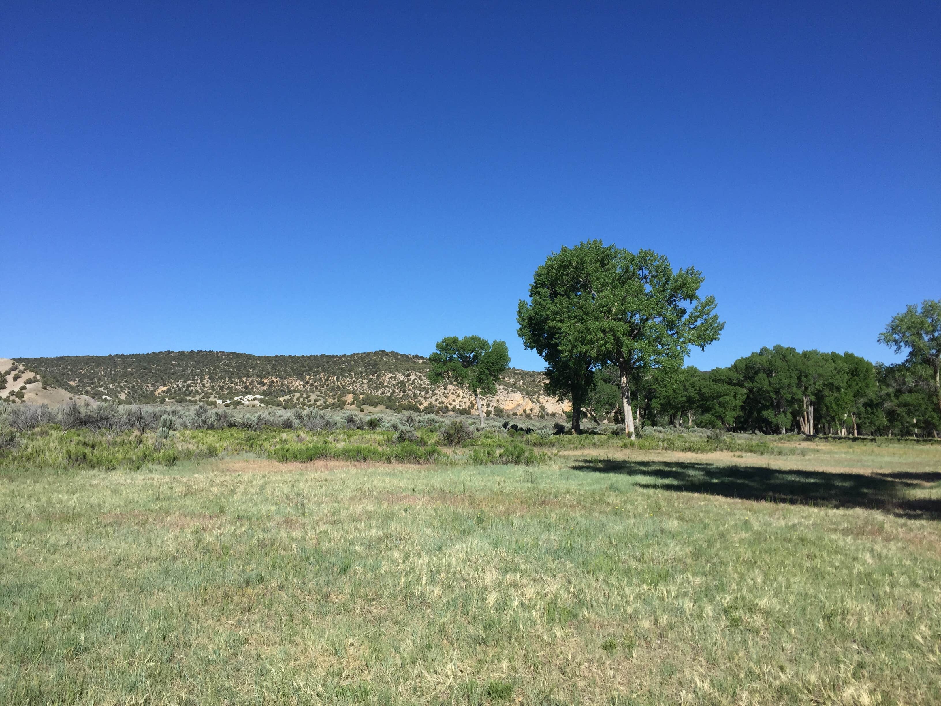 Camper submitted image from Deerlodge Park Campground — Dinosaur National Monument - 3