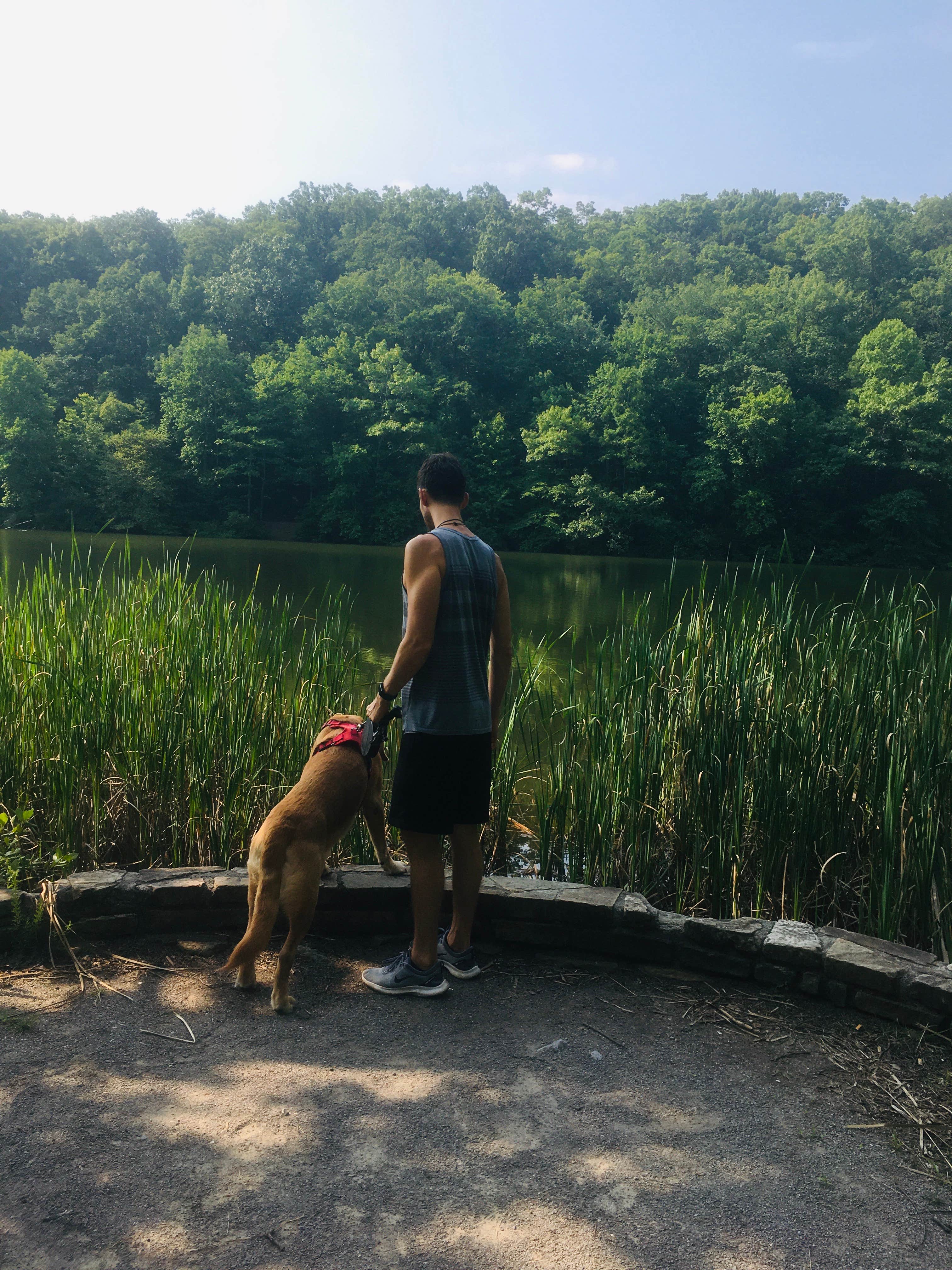 Daniel B.'s photo of camping with pets at Chilhowee Recreation Area near Etowah, TN