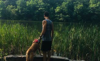 Daniel B.'s photo of camping with pets at Chilhowee Recreation Area near Etowah, TN