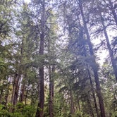 Review photo of Mora Campground — Olympic National Park by Sarah R., July 28, 2021