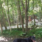 Review photo of Rustic Timbers Door County Camping by Debra M., July 28, 2021