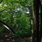 Review photo of High Cliff State Park Campground by Debra M., July 28, 2021