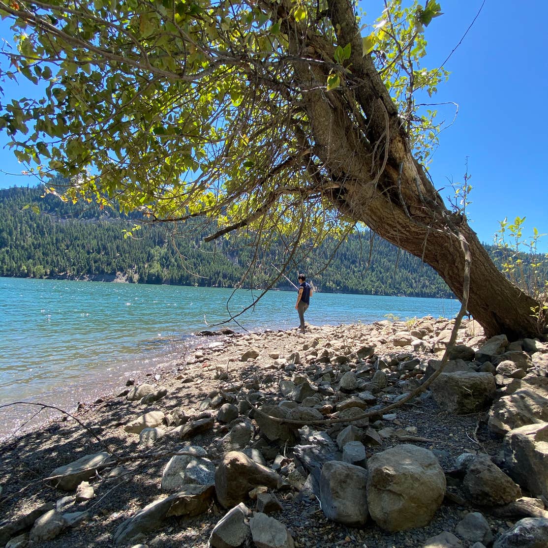 Rimrock Lake Resort Camping The Dyrt