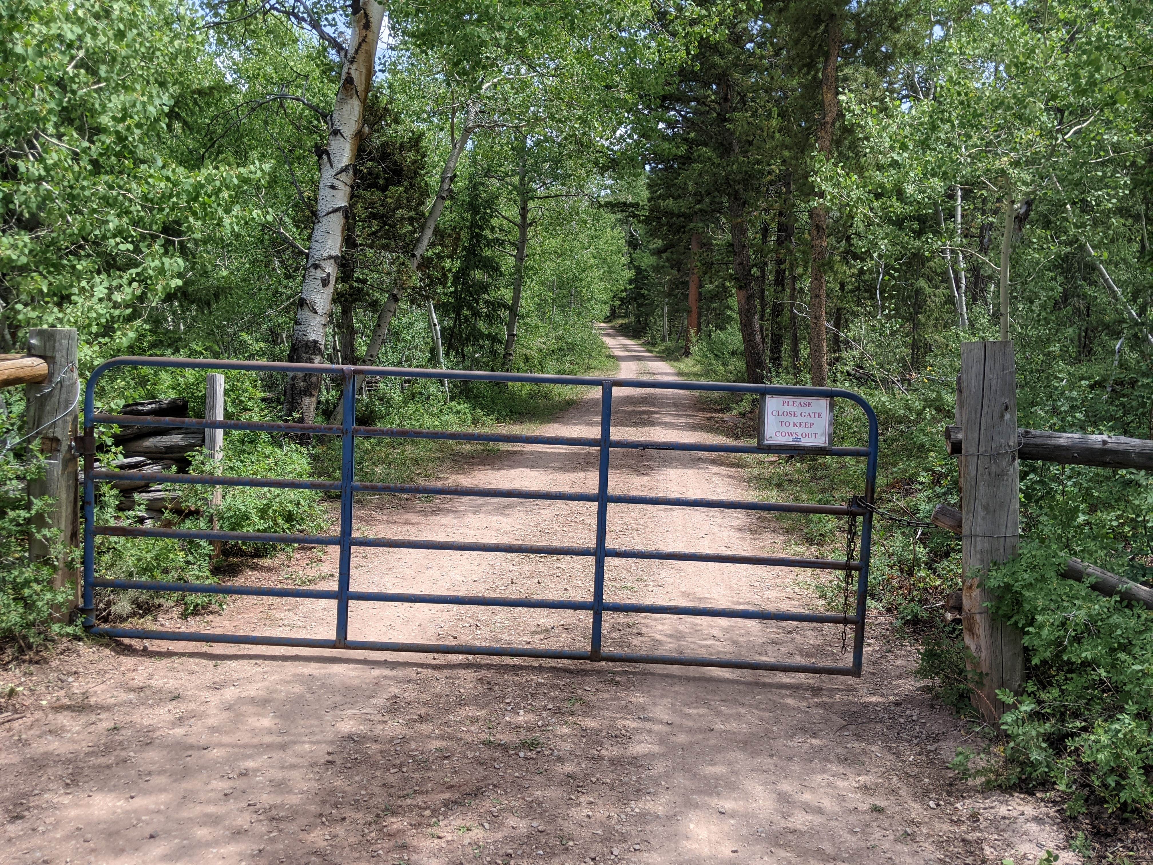 Camper submitted image from Summit Springs Guard Station - 2