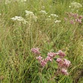 Review photo of Ottawa Lake Campground — Kettle Moraine State Forest-Southern Unit by Debra M., July 28, 2021