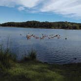 Review photo of Ottawa Lake Campground — Kettle Moraine State Forest-Southern Unit by Debra M., July 28, 2021