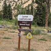 Review photo of Carmel Campground - Ashley National Forest by Greg L., July 28, 2021