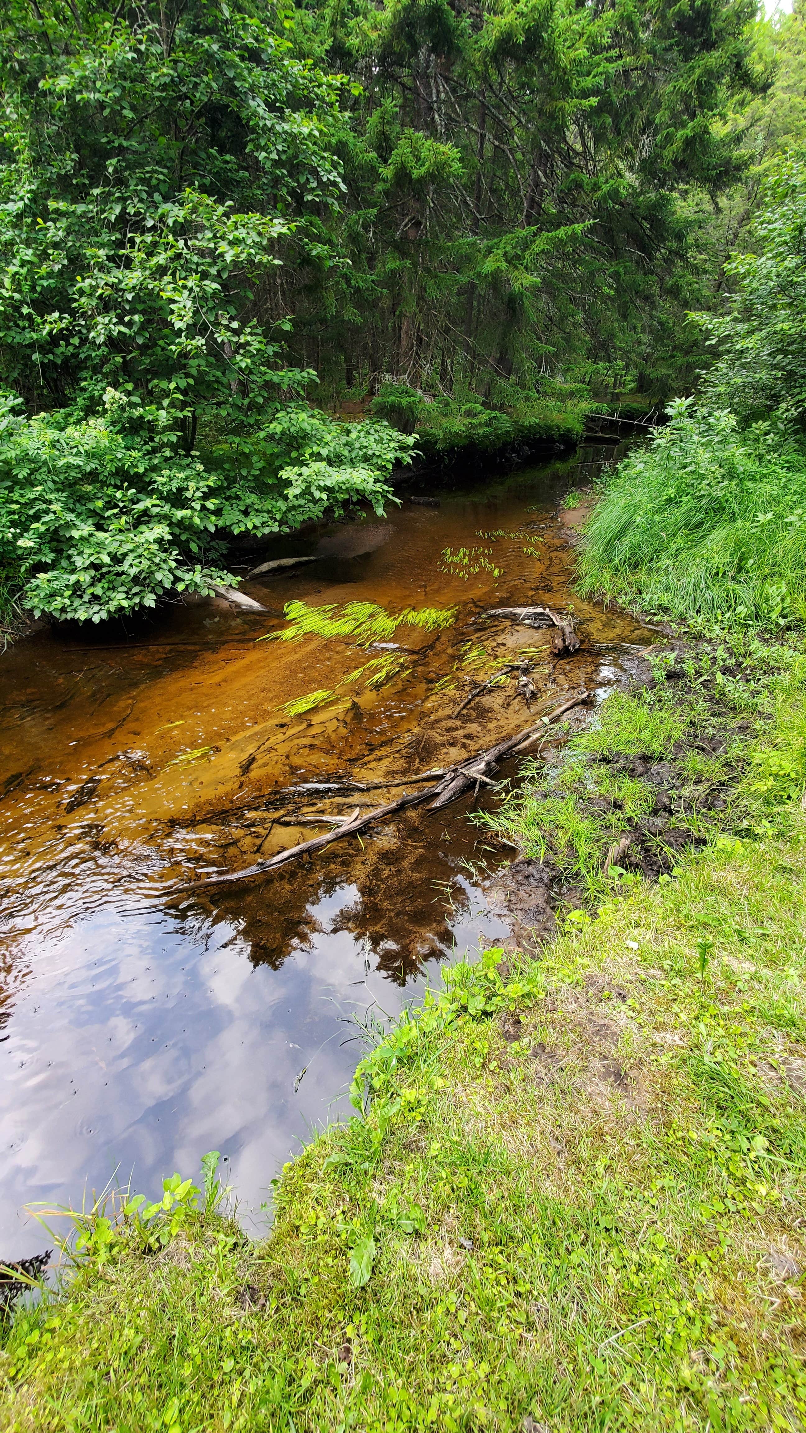 Camper-submitted photo at Meacham Lake Campground near Malone, NY