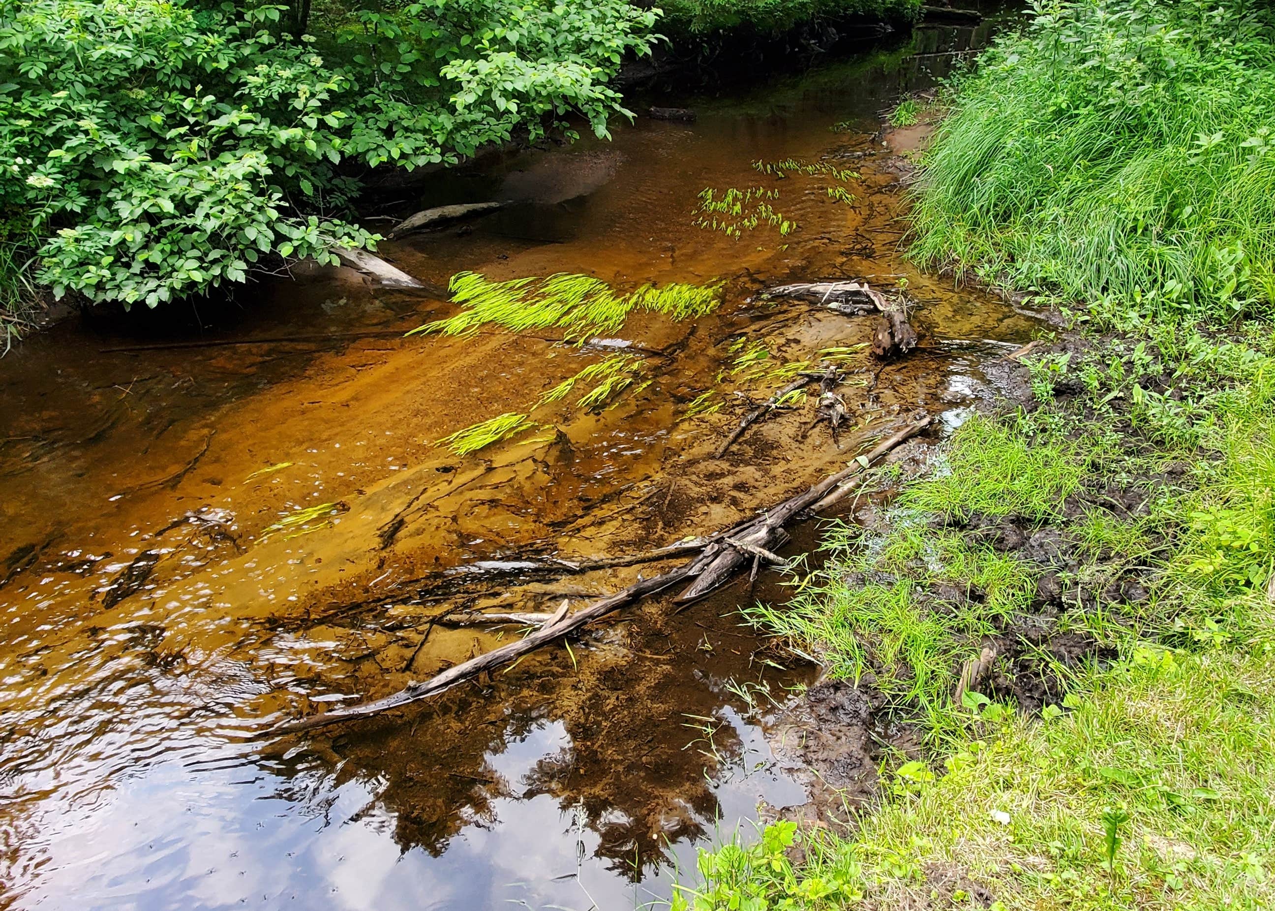 Meacham Lake Camping The Dyrt