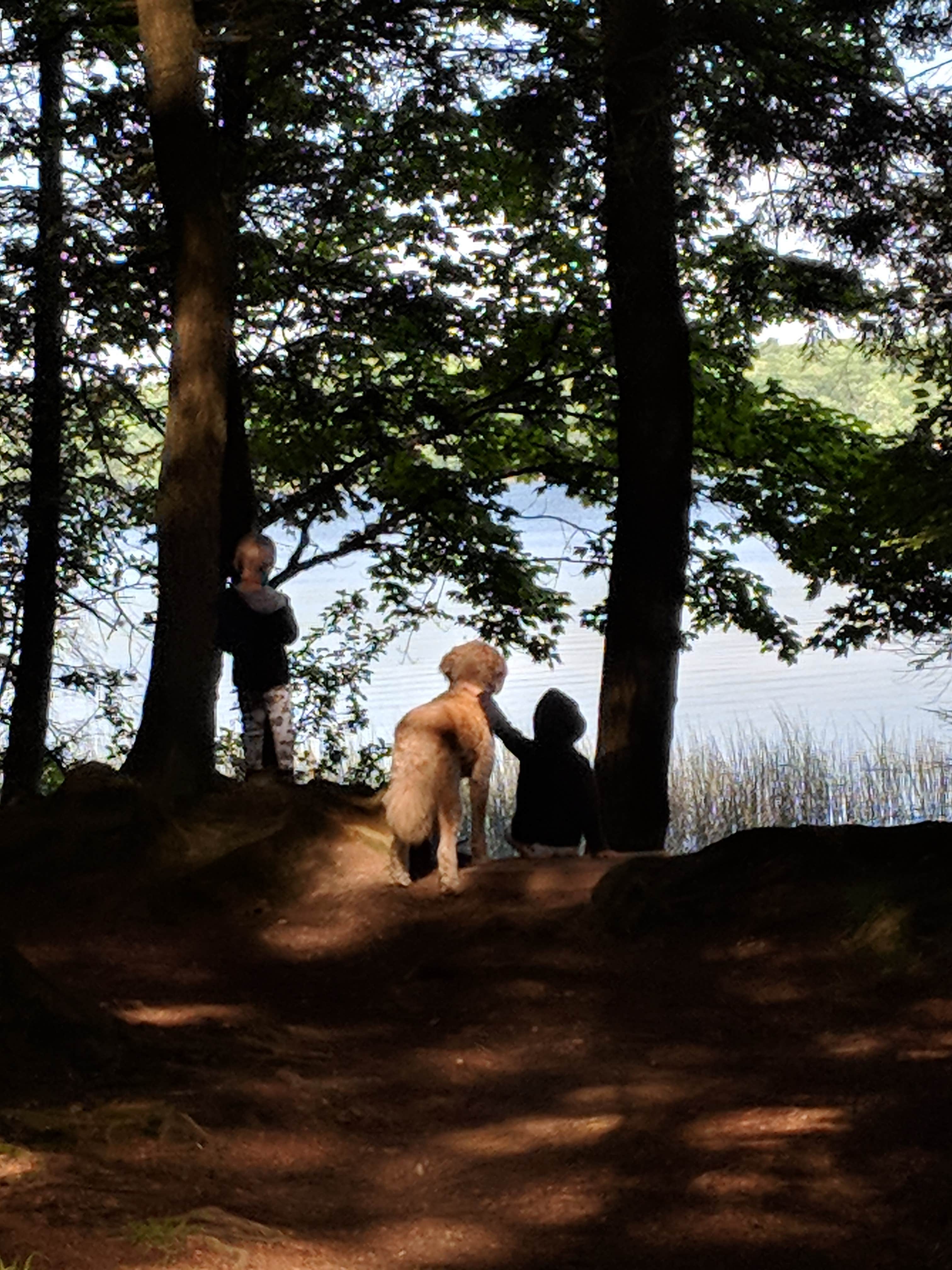 Amber R.'s photo of camping with pets at Kentuck Lake Campground near Watersmeet, MI