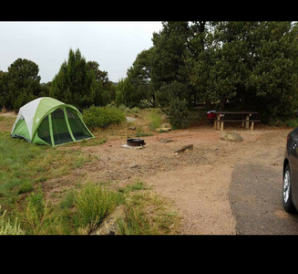 Camper-submitted photo from Piñon Campground — Lathrop State Park