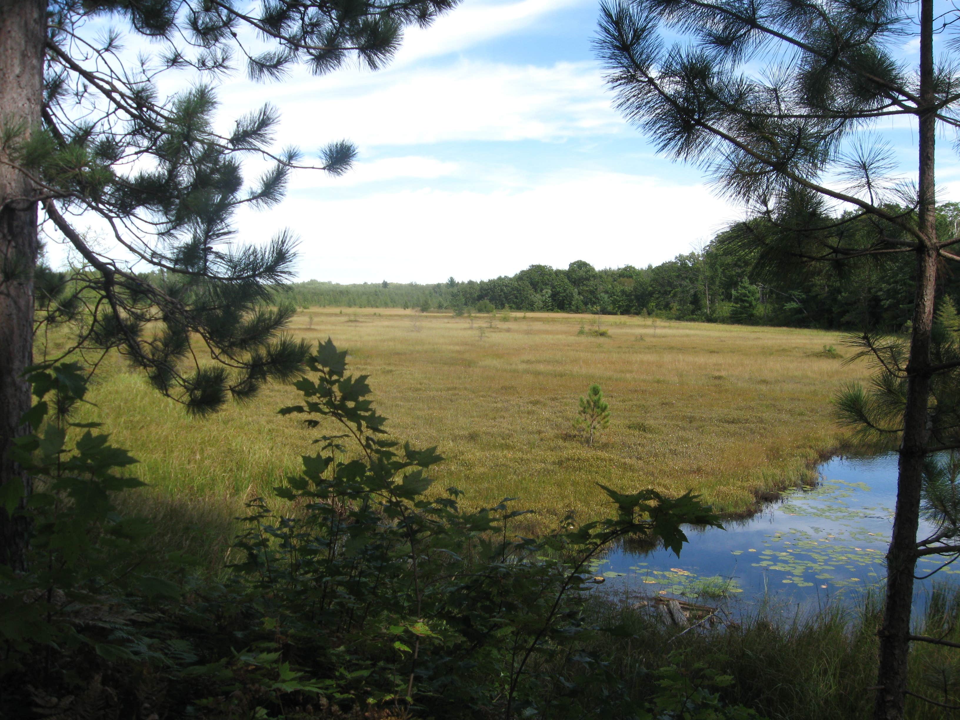 Camper-submitted photo at Langlade County Veterans Memorial Park near Merrill, WI