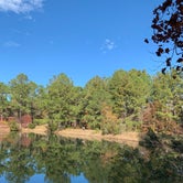 Review photo of General Coffee State Park Campground by derek A., July 28, 2021