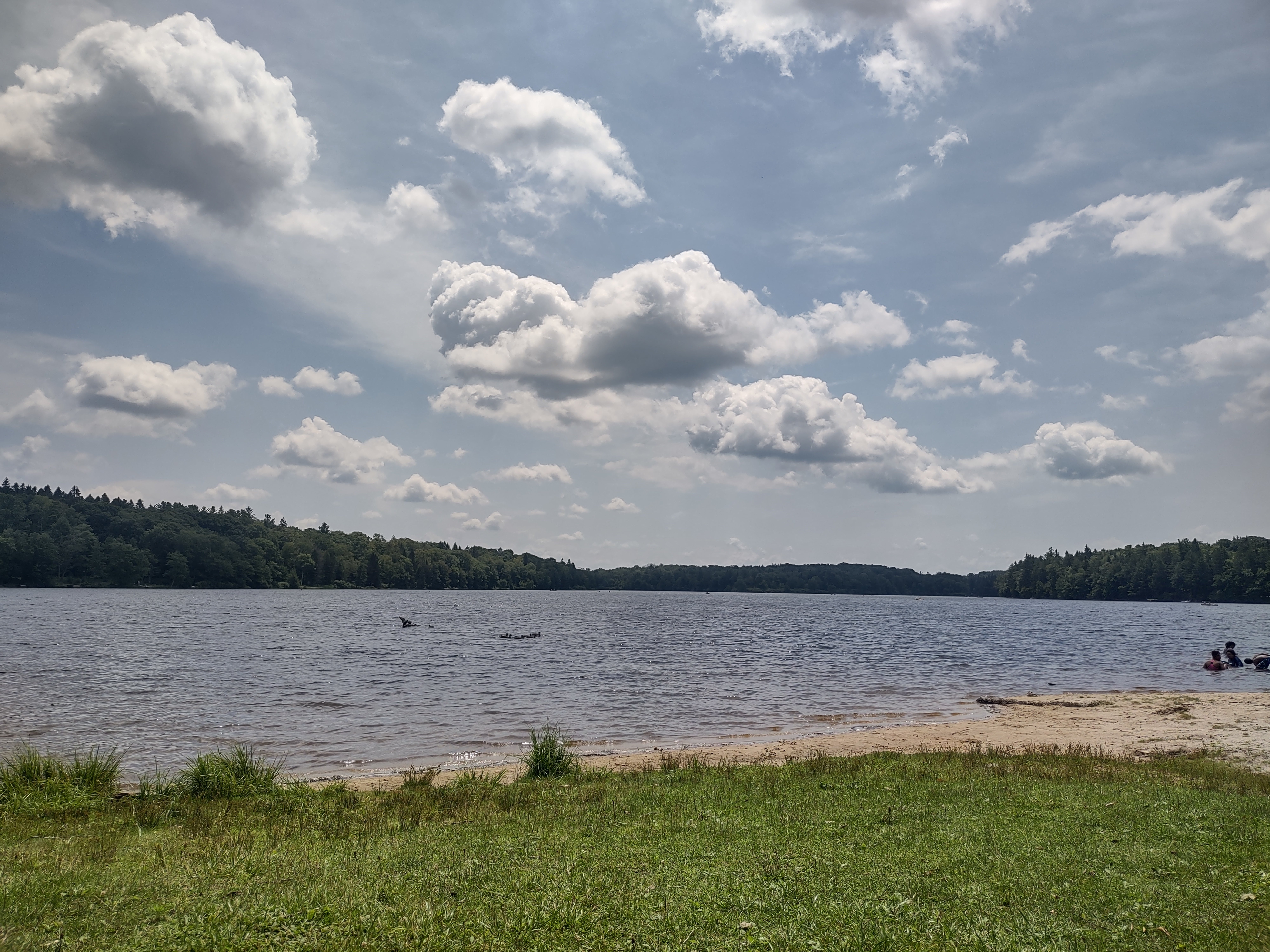 Camper submitted image from Lower Lake Campground Northwoods Area — Promised Land State Park - 5
