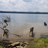 Review photo of Yellow Creek Campground — Yellow Creek State Park by laura , July 28, 2021