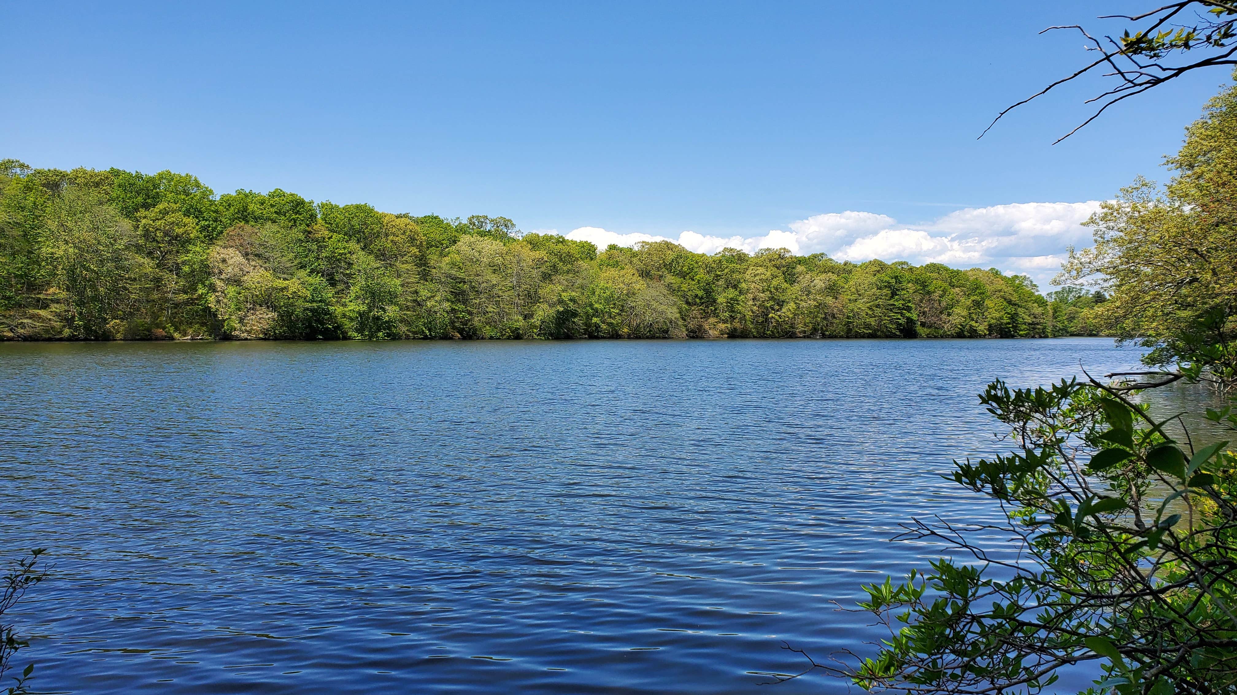 Camper submitted image from Blydenburgh County Park - 2