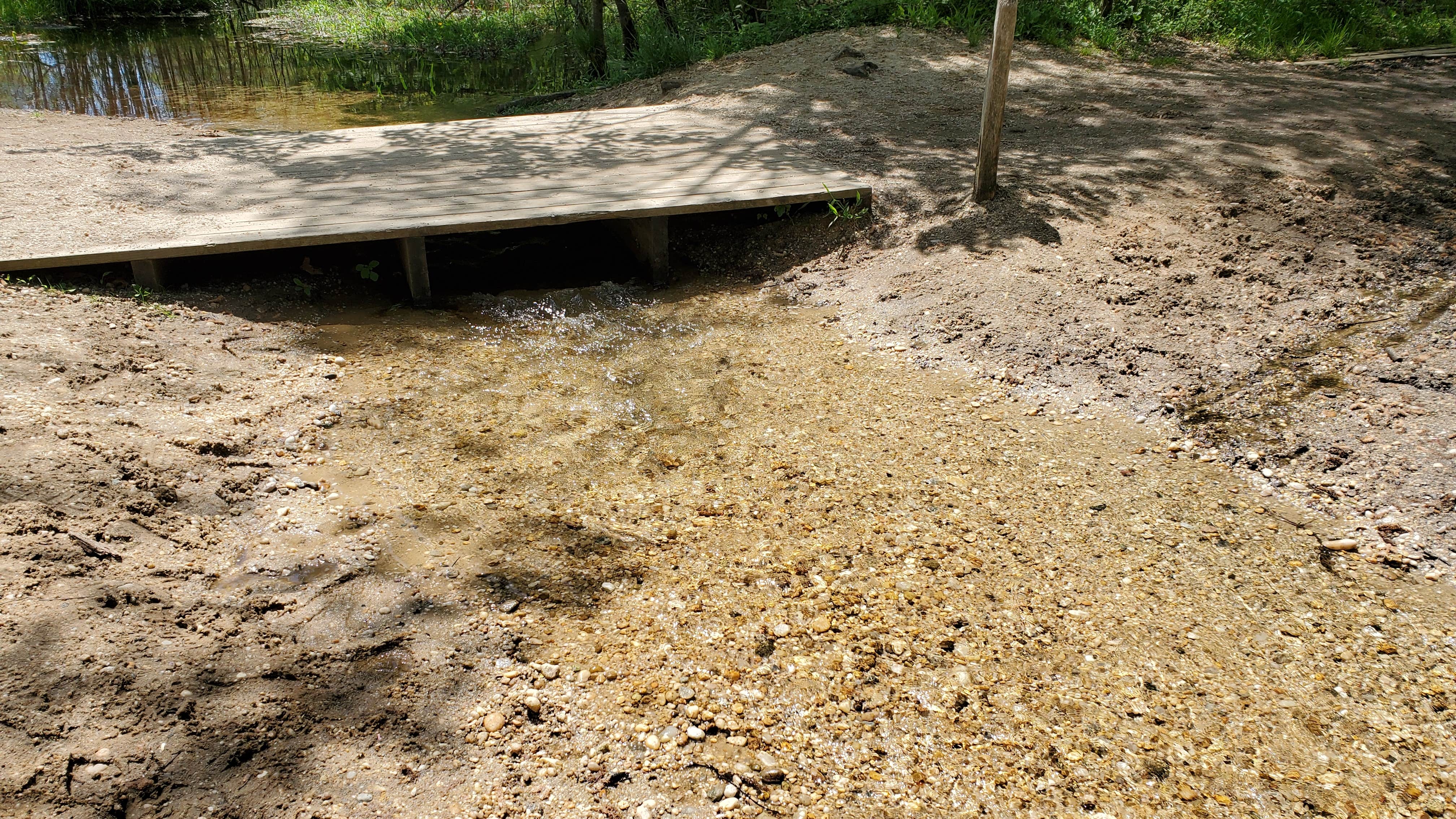 Camper submitted image from Blydenburgh County Park - 5