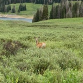 Review photo of Whitney Reservoir by Mike E., July 28, 2021